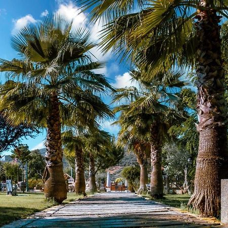 Hotel Rural Finca La Herencia Гуадальканаль Экстерьер фото
